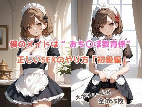 僕のメイドはおち〇ぽ教育係〜正しいSEXのやり方【初級編】 メイン画像
