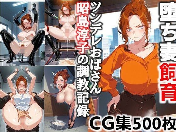 堕ち妻飼育  ツンデレおばさん昭島淳子の調教記録CG集 メイン画像