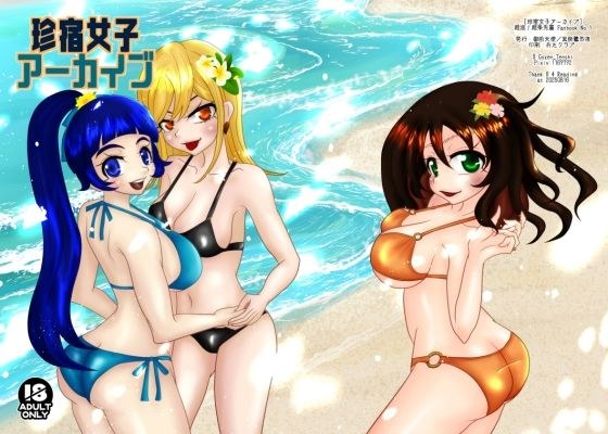 Chinjuku Girls Archive メイン画像