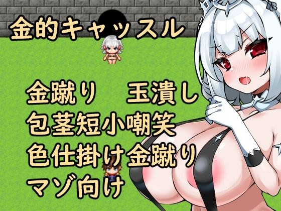 金的キャッスル メイン画像