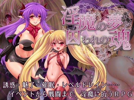 淫魔の夢と囚われの魂 メイン画像