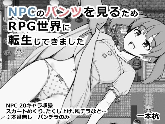 NPCのパンツを見るためRPG世界に転生してきました メイン画像