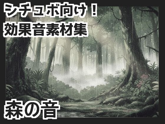 【日本の環境音】森の音 メイン画像