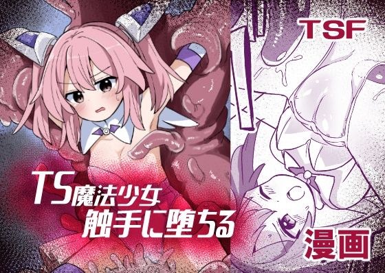 TS魔法少女、触手に堕ちる メイン画像