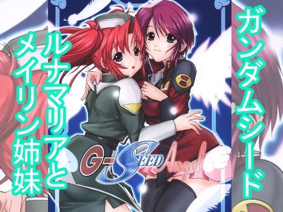 G-SEED  Angel メイン画像