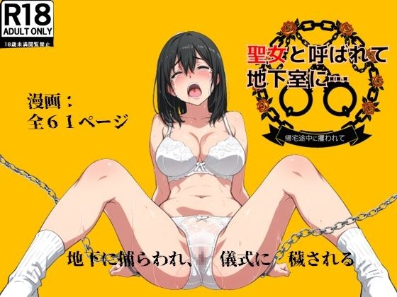 聖女と呼ばれて地下室に…帰宅途中に攫われて メイン画像