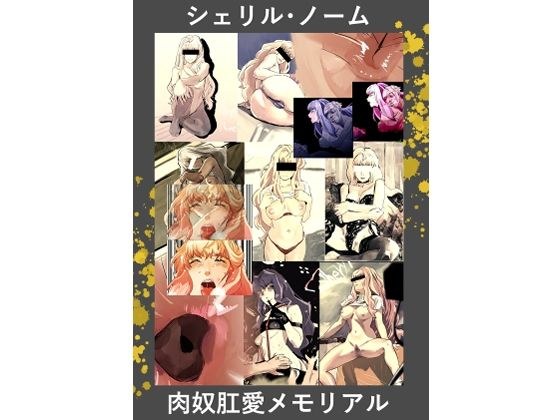 シェリル・ノーム  肉奴肛愛コレクション メイン画像