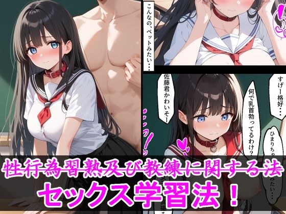 性行為習熟及び教練に関する法 セックス学習法！ メイン画像