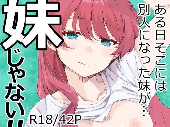 妹じゃない！ メイン画像