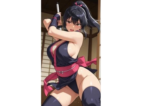 くのいち3 メイン画像