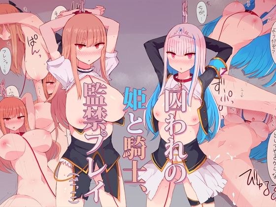 姫と騎士監禁プレイごっこ メイン画像