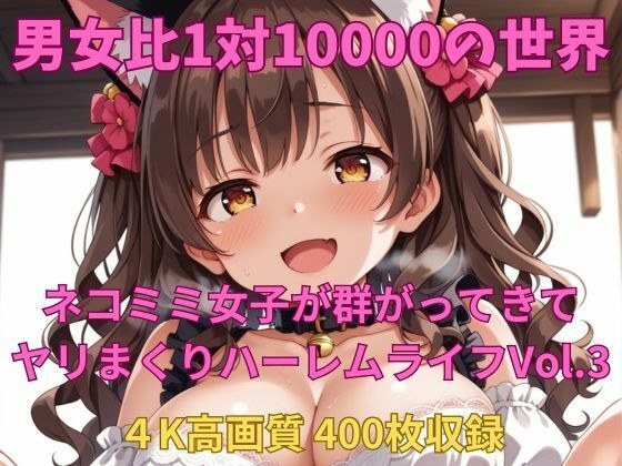男女比1対10000の世界 ネコミミ女子とセックスし放題でちんぽが乾く暇もないヤリ放題ハーレムライフ！！Vol.3 メイン画像