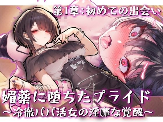 媚薬に堕ちたプライド〜冷徹パパ活女の淫靡な覚醒〜第1章初めての出会い メイン画像