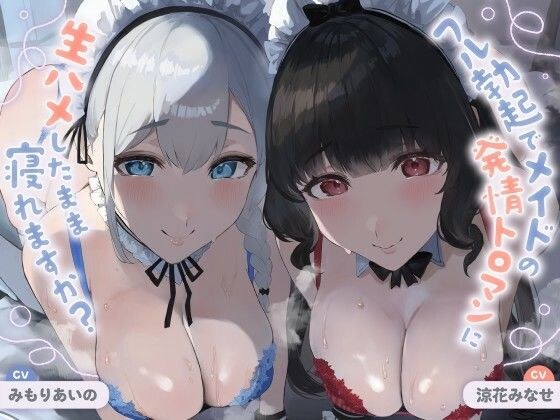 【ALL無声音】フル勃起でメイドの発情トロマンに生ハメしたまま寝れますか？【スローセックス/ずっと生ハメ】 メイン画像