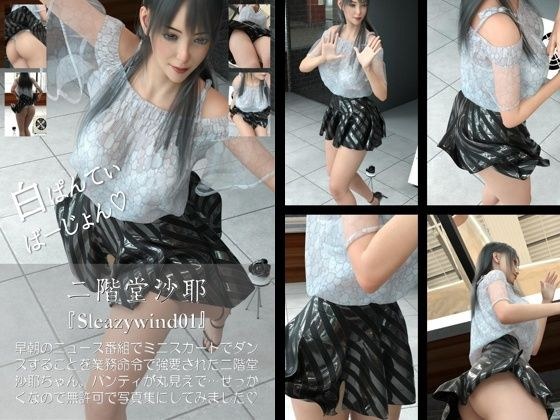 【chrl300】二階堂沙耶の下着モデル写真集-Sleazywind-01c メイン画像