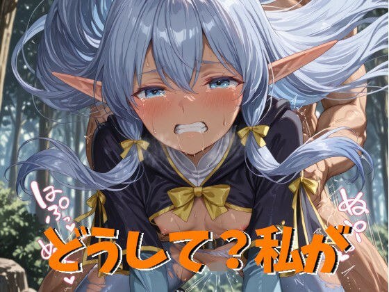 エルフの失敗 メイン画像