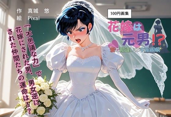 100円画集  花嫁は元男！？愛と勘違いは宇宙規模 メイン画像