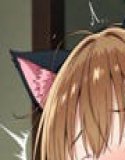 Sexual activity observation: Kano summer