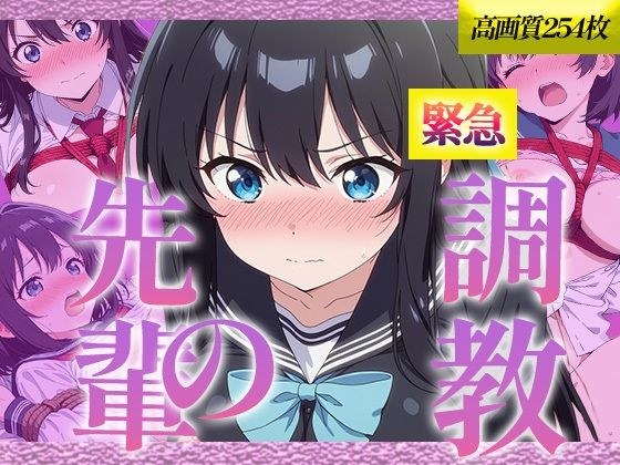先輩の緊急調教 メイン画像