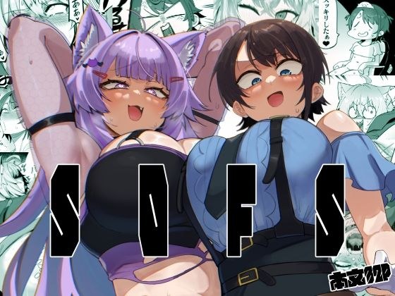 SOFS メイン画像
