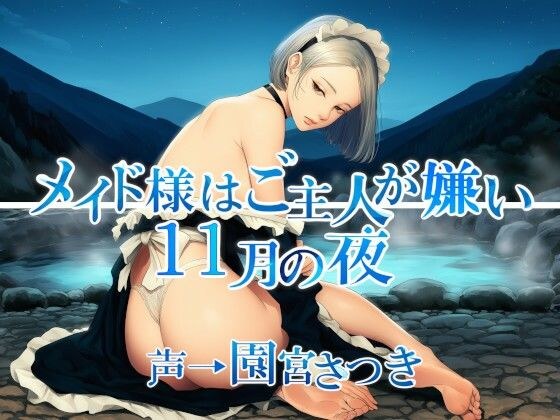メイド様はご主人が嫌い  11月の夜 メイン画像