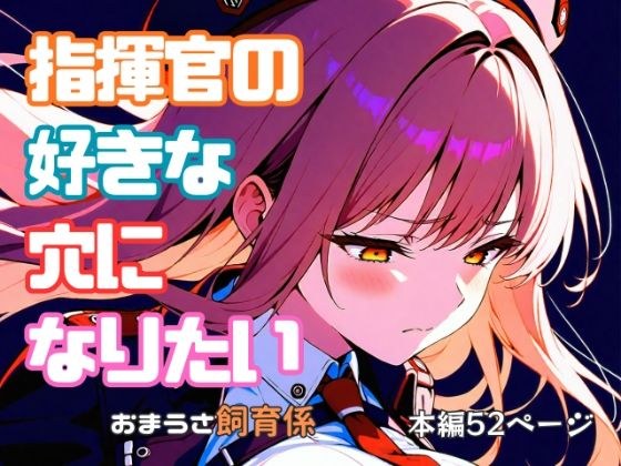 指揮官の好きな穴になりたい メイン画像