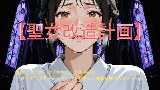 聖女改造計画 メイン画像