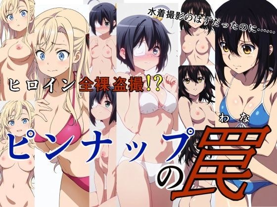 ピンナップの罠 メイン画像