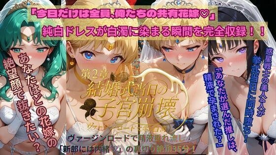 惑星戦士結婚式当日NTR子宮崩壊〜第2章〜 メイン画像