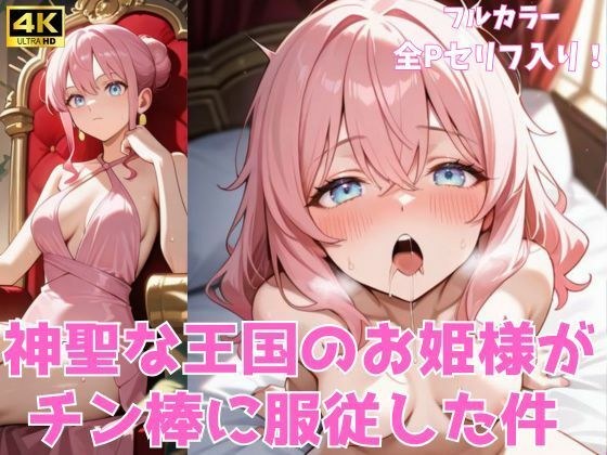 神聖な王国のお姫様がチン棒に服従した件 メイン画像