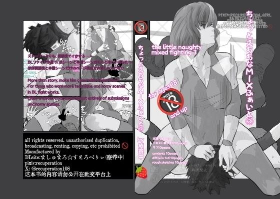 ちょっとえちちなMIXファイト3 メイン画像