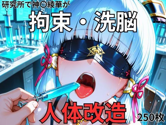 神○綾華が研究所で人体改造される（ふたなり・妊娠） メイン画像