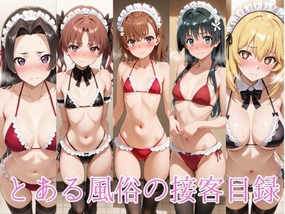 とある風俗の接客目録 メイン画像