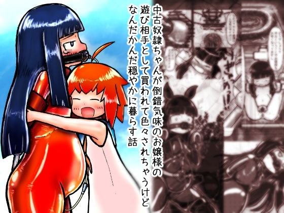 中古奴●ちゃんが倒錯気味のお嬢様の遊び相手として買われて色々されちゃうけどなんだかんだ穏やかに暮らす話 メイン画像