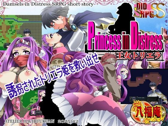 Princess in Distress 王女トリエラ メイン画像
