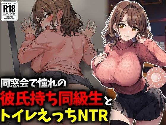 同窓会で憧れのマドンナ的同級生とトイレえっちNTR メイン画像