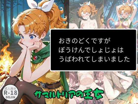 おきのどくですがぼうけんでしょじょはうばわれてしまいました メイン画像