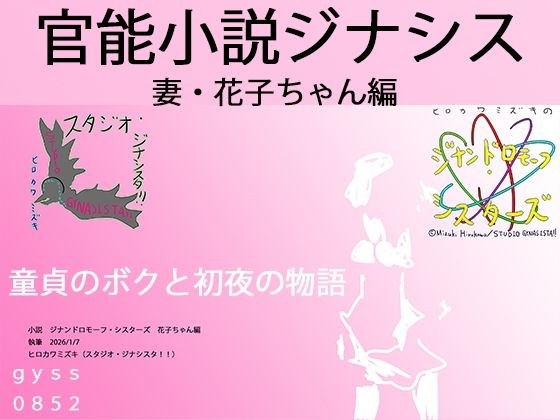 官能小説:若妻・花子と僕の初夜 メイン画像