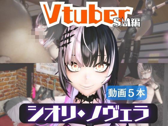 【5動画】Vtuberシオリ・ノヴェラの調教されたり肉便器になったりする動画パック【VTUBER】 メイン画像
