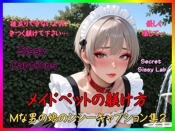 Sissy Captions Mな男の娘のシシーキャプション集2 メイドペットの躾け方 後戻りできないようにきつく躾けて下さい… 優しく壊して… メイン画像