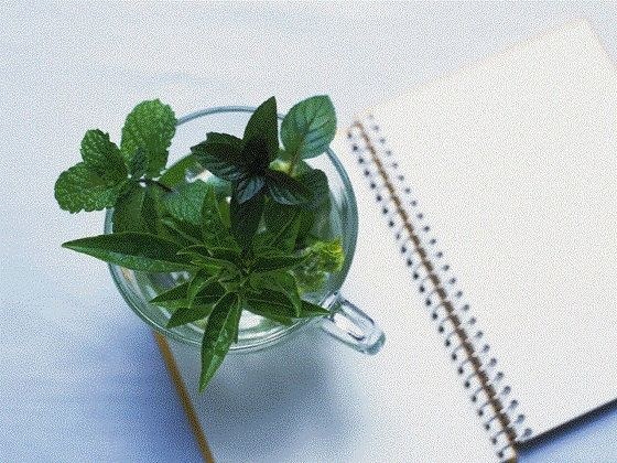 おむつ現役JK作家の最期 メイン画像