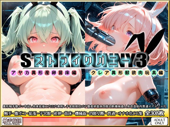 ストライクバニー3 メイン画像