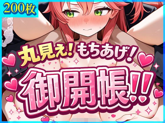 丸見え！もちあげ！御開帳！！ メイン画像