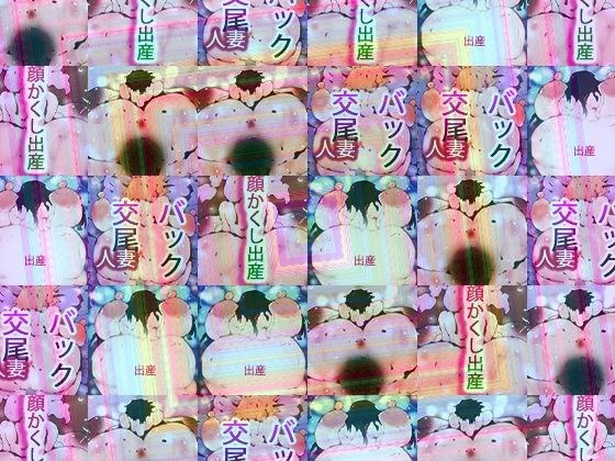 Oshiri Museum ~ Ginandromorph Sisters: Final Lot Selection ~