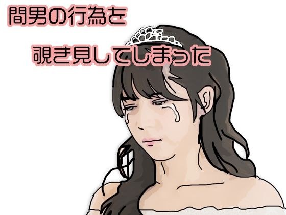 間男の行為を覗き見してしまった メイン画像