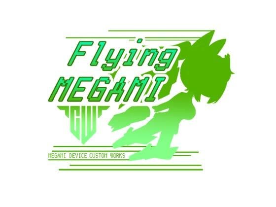 飞翔_MEGAMI メイン画像