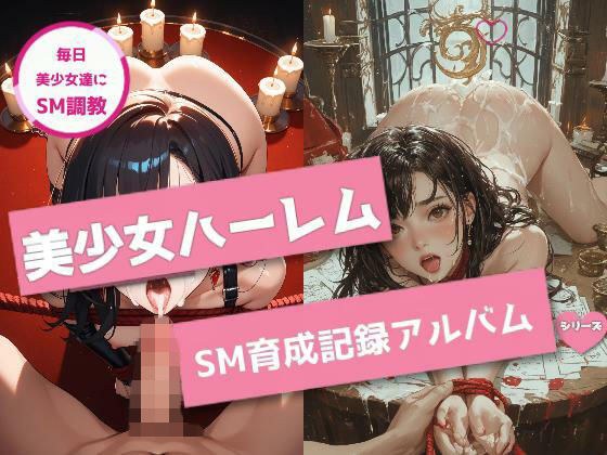 美少女ハーレムSM育成記録アルバム メイン画像
