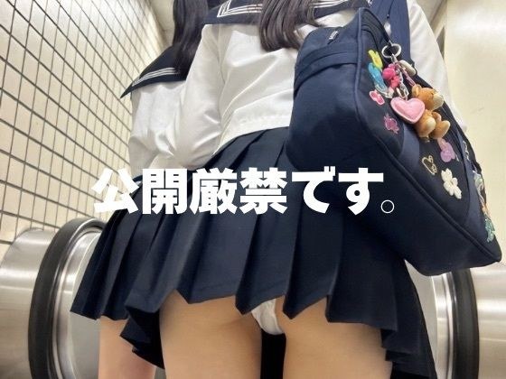 【AI生成】6sec. Vol.5 -風の悪戯、エスカレーターの記憶- 84枚のシチュエーション・フォト集 メイン画像