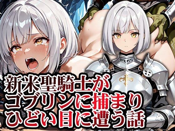 新米聖騎士ゴブリンに捕まりメス堕ち メイン画像