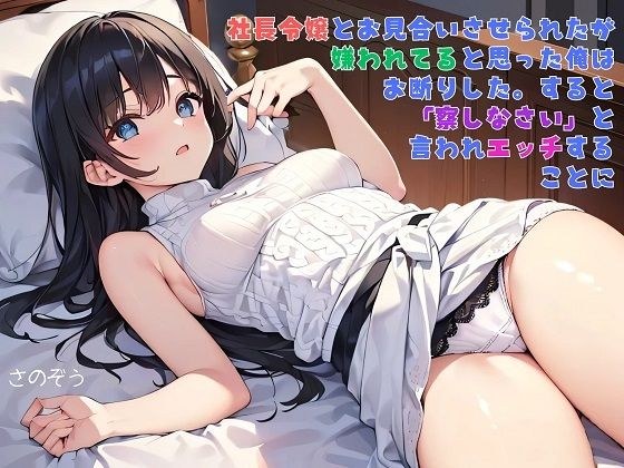 【えっちノベル】社長令嬢とお見合いさせられたが嫌われてると思った俺はお断りした。すると「察しなさい」と言われエッチすることに メイン画像
